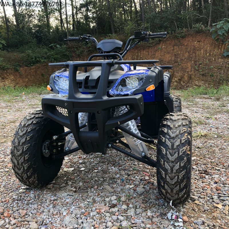 Electric 4 Seater 4WD 4-Stroke - مراجعة Camping Quad وسعره