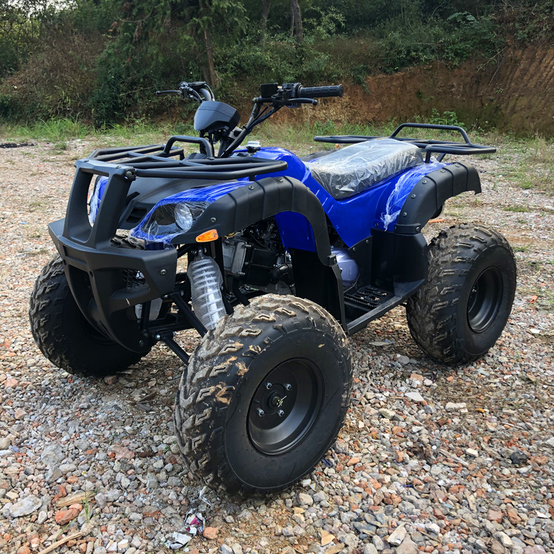 Electric 4 Seater 4WD 4-Stroke - مراجعة Camping Quad وسعره