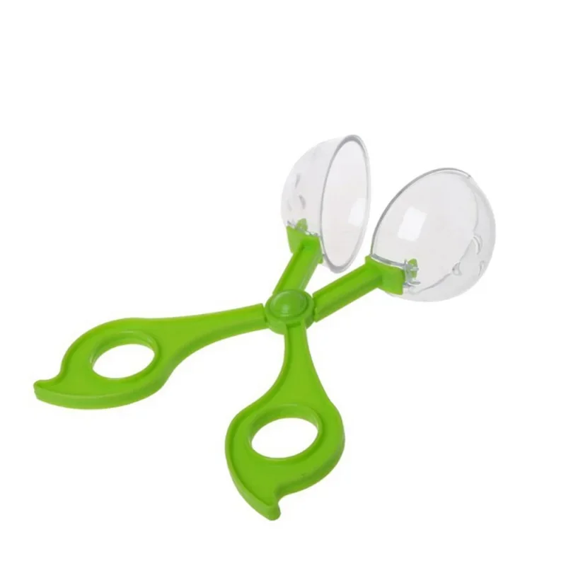 Educational Bug Catcher Scisso - مراجعة Outdoor Camping Kids Activities وسعره